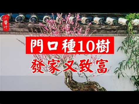 門口放竹子|10種旺財門口植物